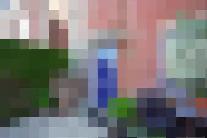 Strausserf 1 Gouda thumbnail 5