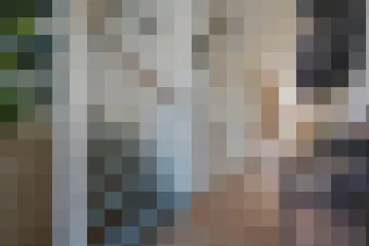 Strausserf 1 Gouda thumbnail 6