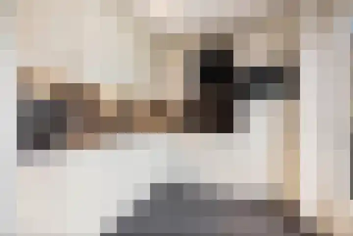 Strausserf 5 Twello thumbnail 10