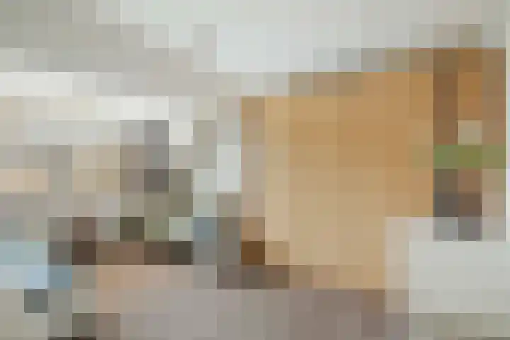 Strausserf 5 Twello thumbnail 17