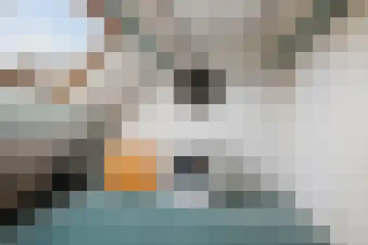 Strausserf 5 Twello thumbnail 20