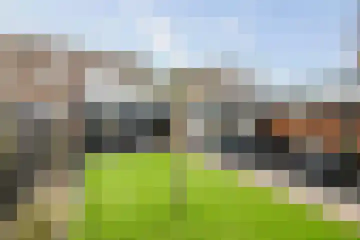 Strausserf 5 Twello thumbnail 23