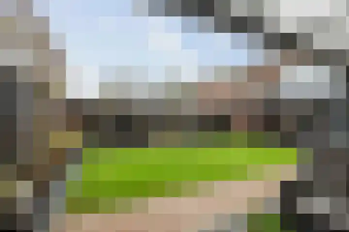 Strausserf 5 Twello thumbnail 27