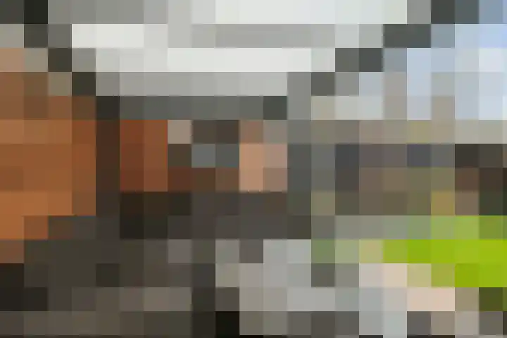 Strausserf 5 Twello thumbnail 29