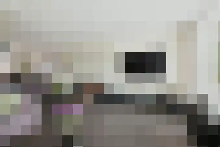 Strausserf 5 Twello thumbnail 7