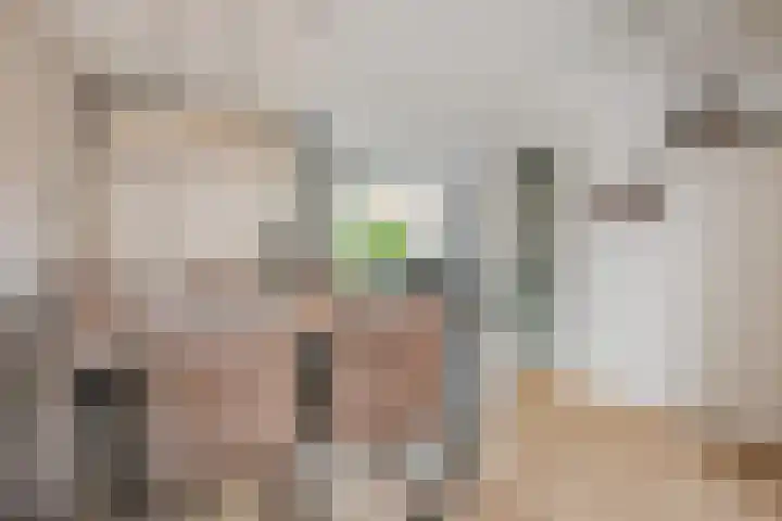 Strausslaan 131 Den Haag thumbnail 12
