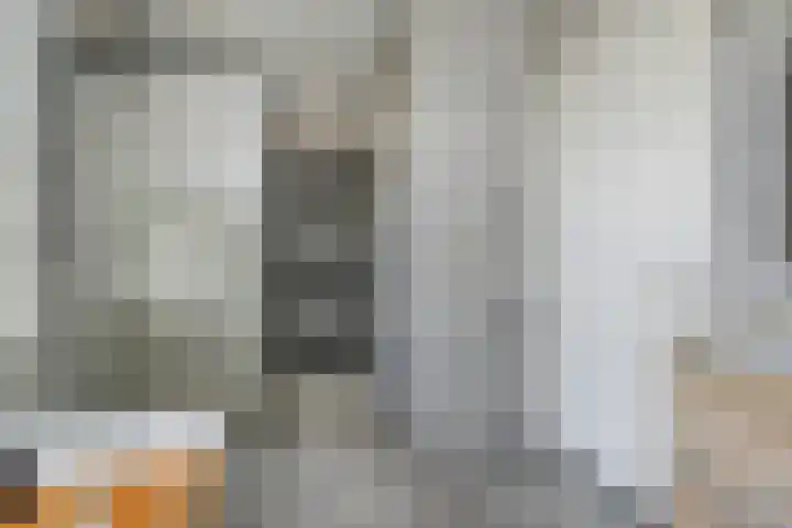Strausslaan 131 Den Haag thumbnail 32
