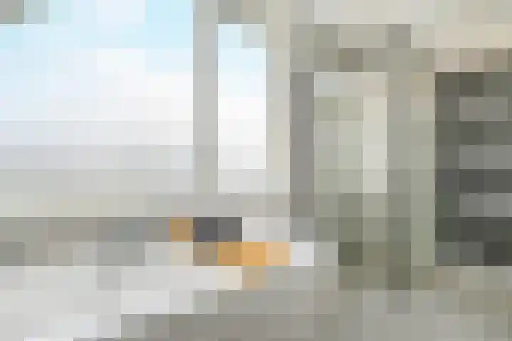 Strausslaan 131 Den Haag thumbnail 33