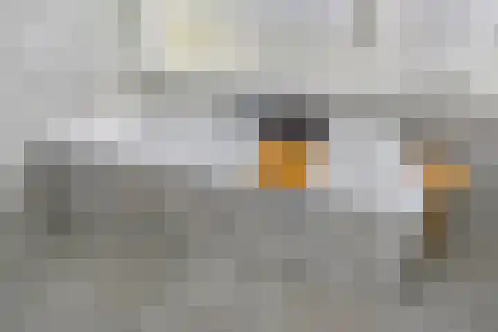 Strausslaan 131 Den Haag thumbnail 35