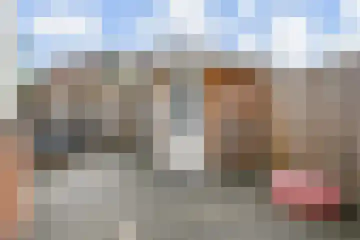Strausslaan 131 Den Haag thumbnail 4