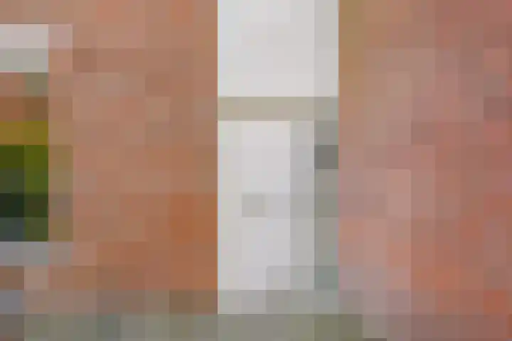 Strausslaan 131 Den Haag thumbnail 6