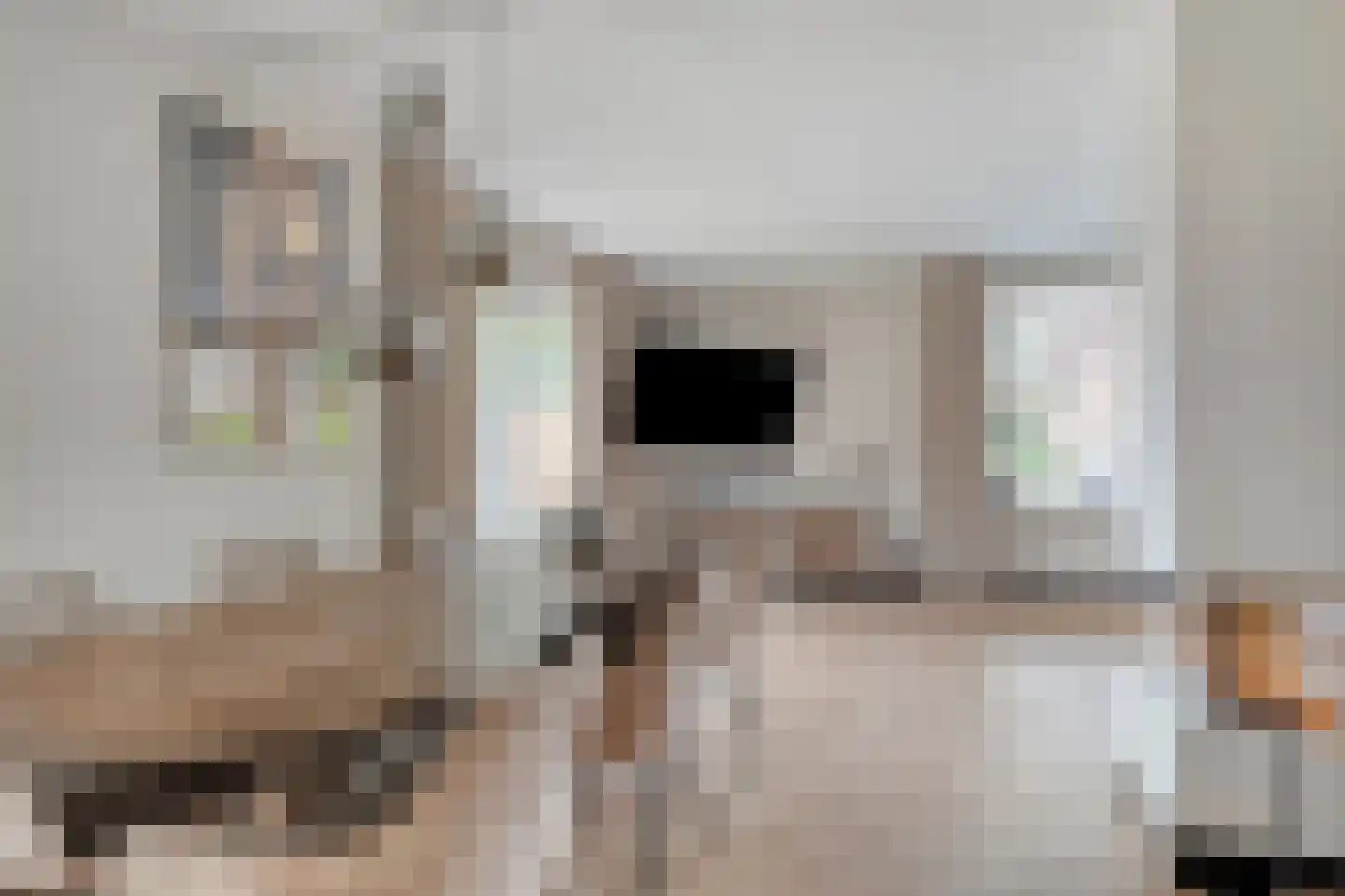 Strausslaan 14 Hoogezand thumbnail 10