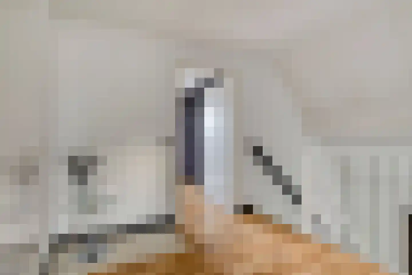 Strausslaan 14 Hoogezand thumbnail 25