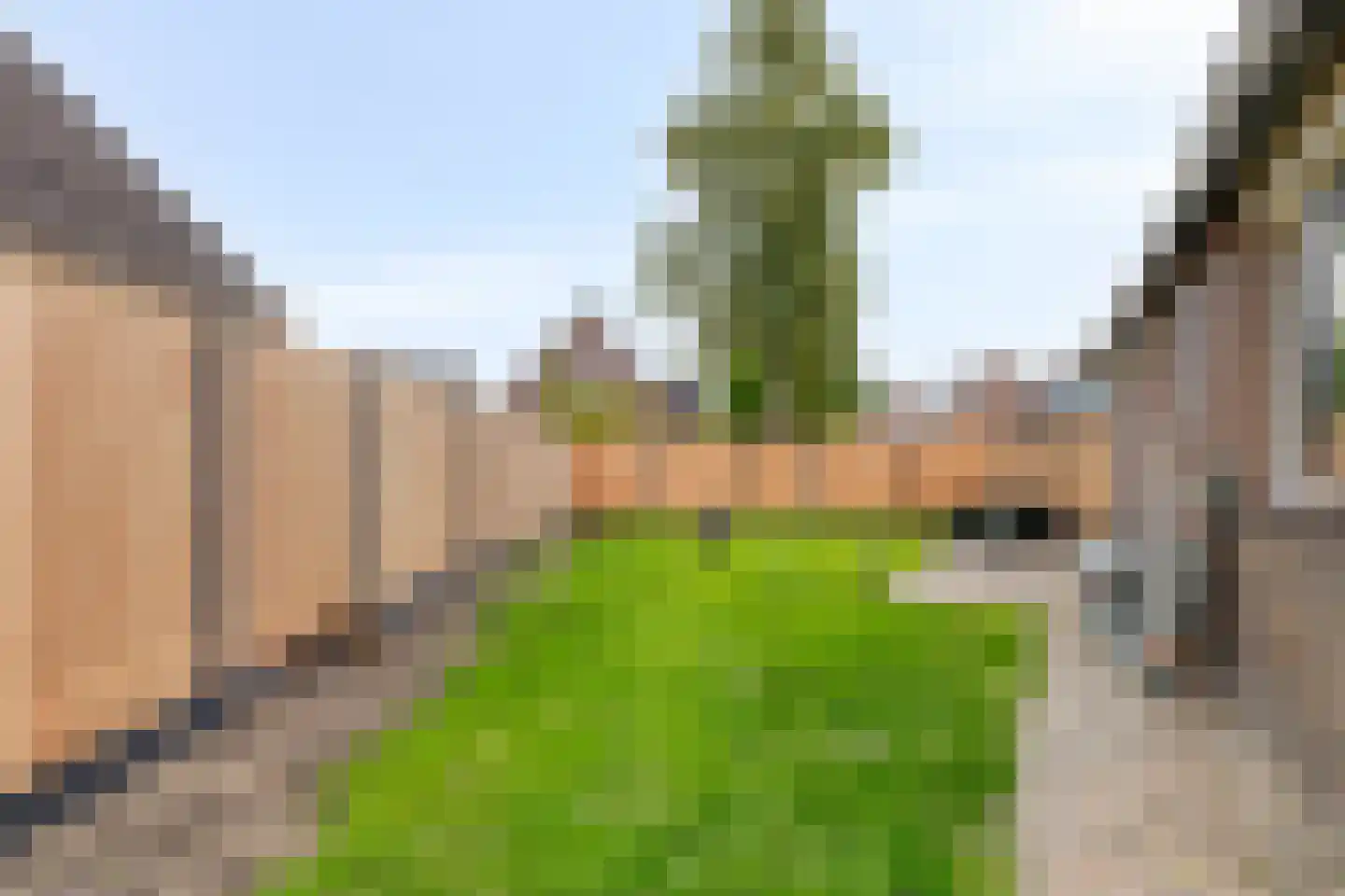 Strausslaan 14 Hoogezand thumbnail 42