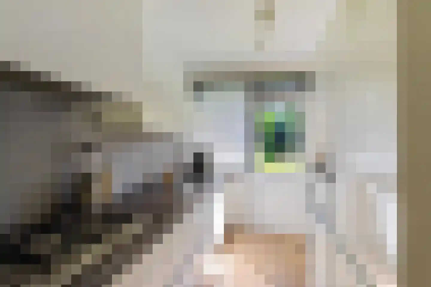Strausslaan 2 a Groningen thumbnail 20