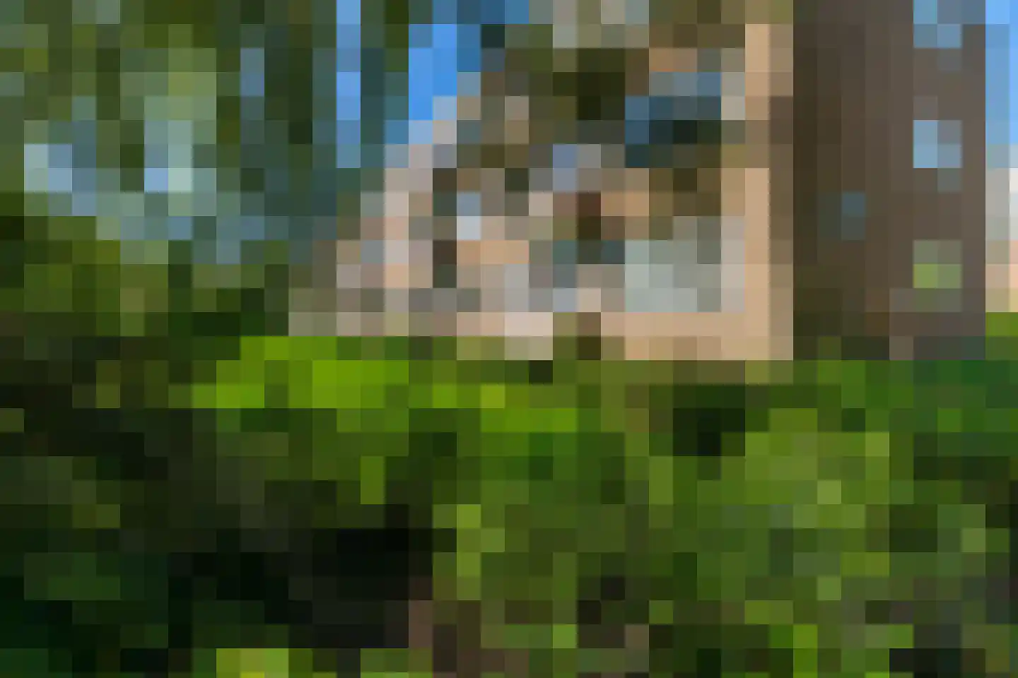 Strausslaan 2 a Groningen thumbnail 41