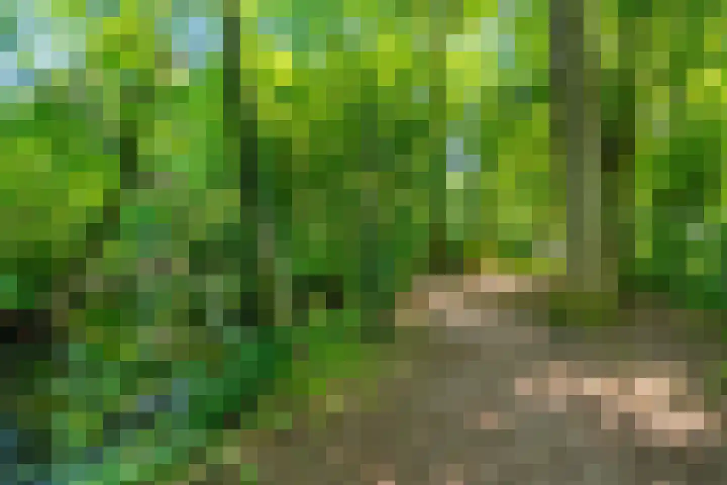 Strausslaan 2 a Groningen thumbnail 43