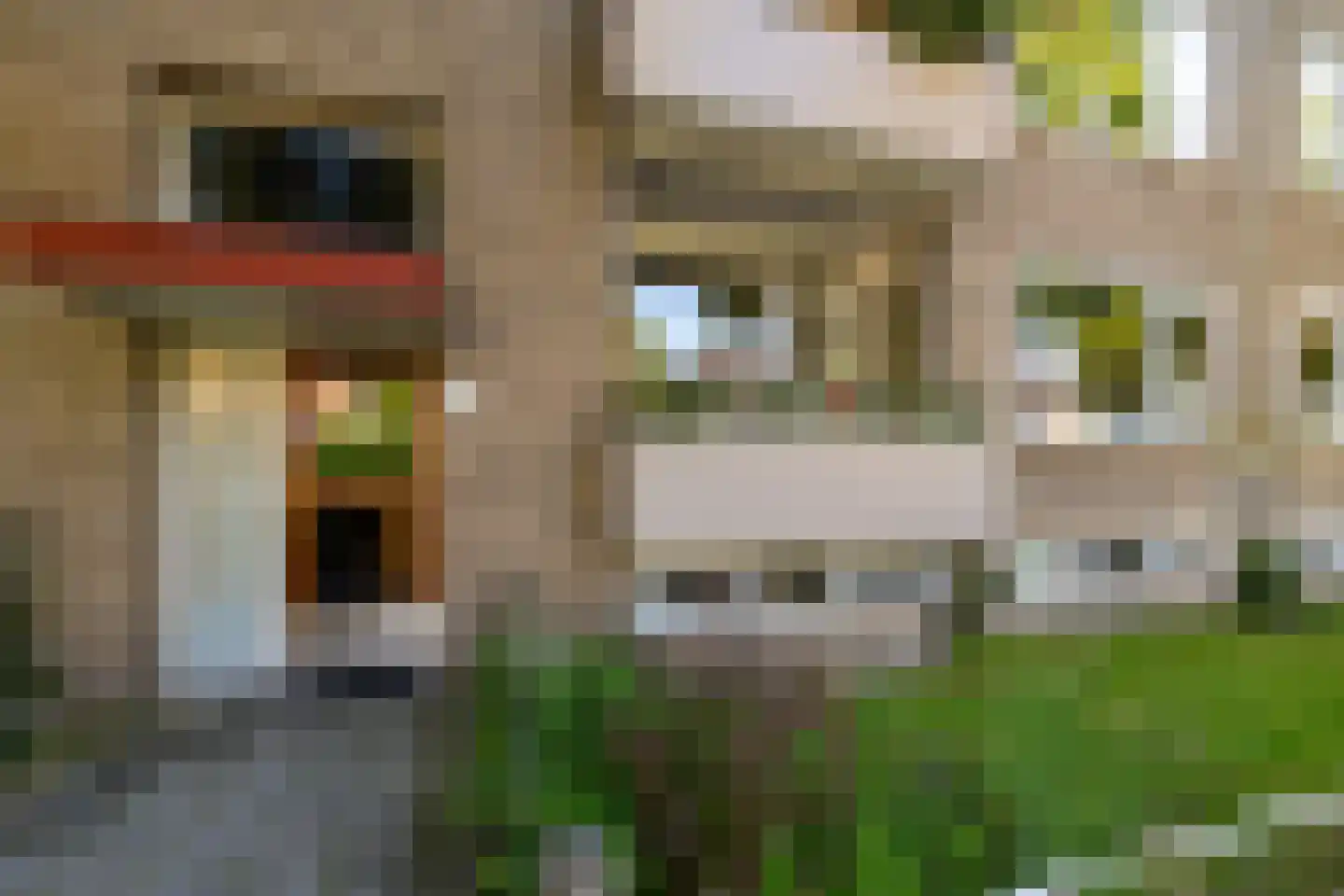 Strausslaan 2 a Groningen thumbnail 7