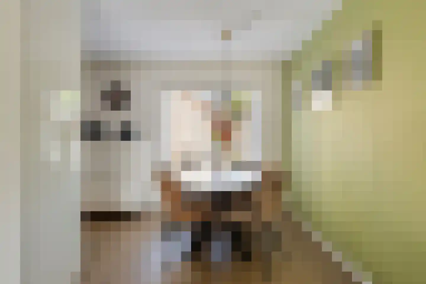 Strausslaan 2 Goes thumbnail 11