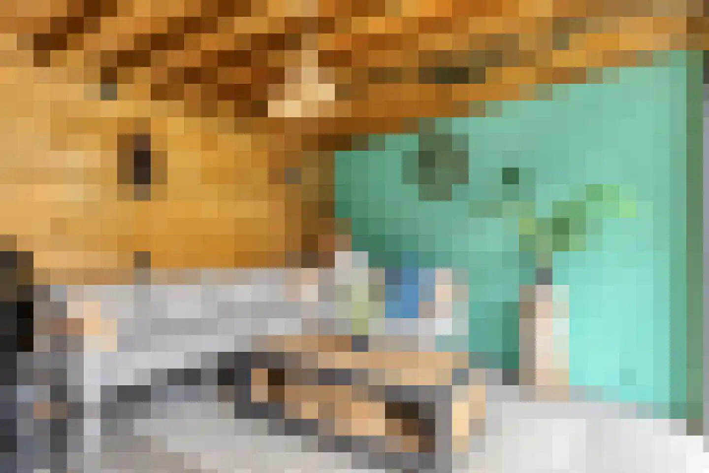 Strausslaan 2 Goes thumbnail 22