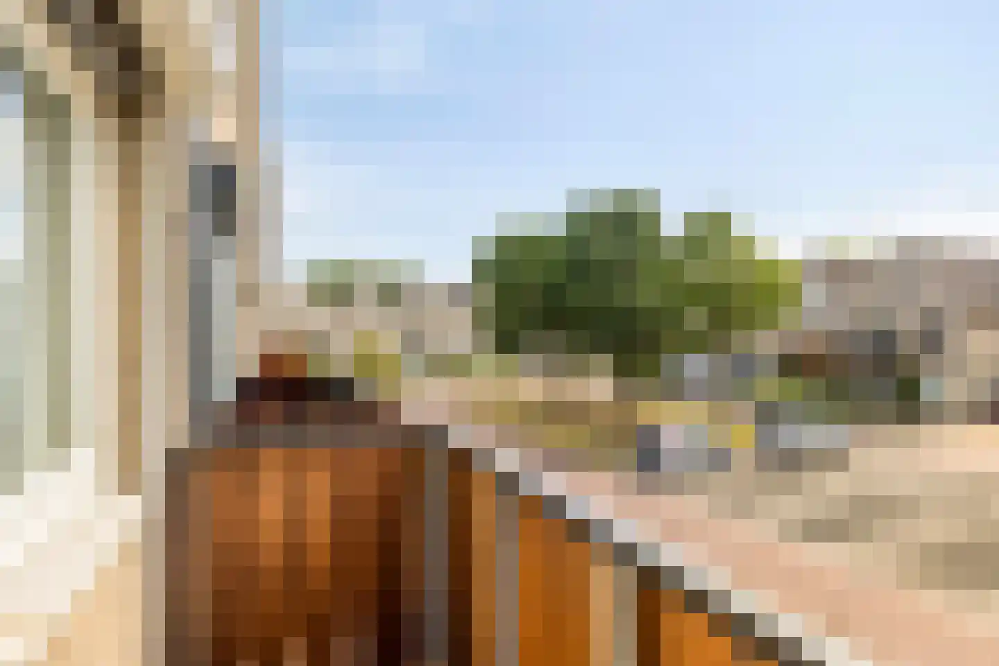 Strausslaan 2 Goes thumbnail 27