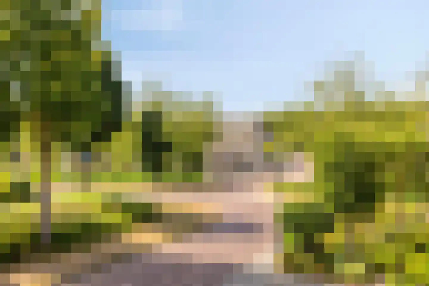 Strausslaan 2 Goes thumbnail 29