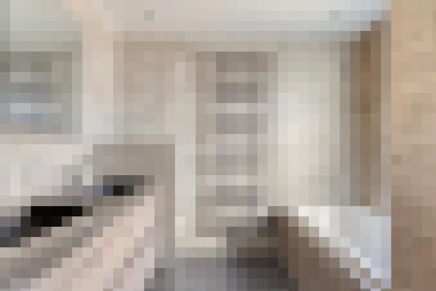 Strausslaan 2 Goes thumbnail 31