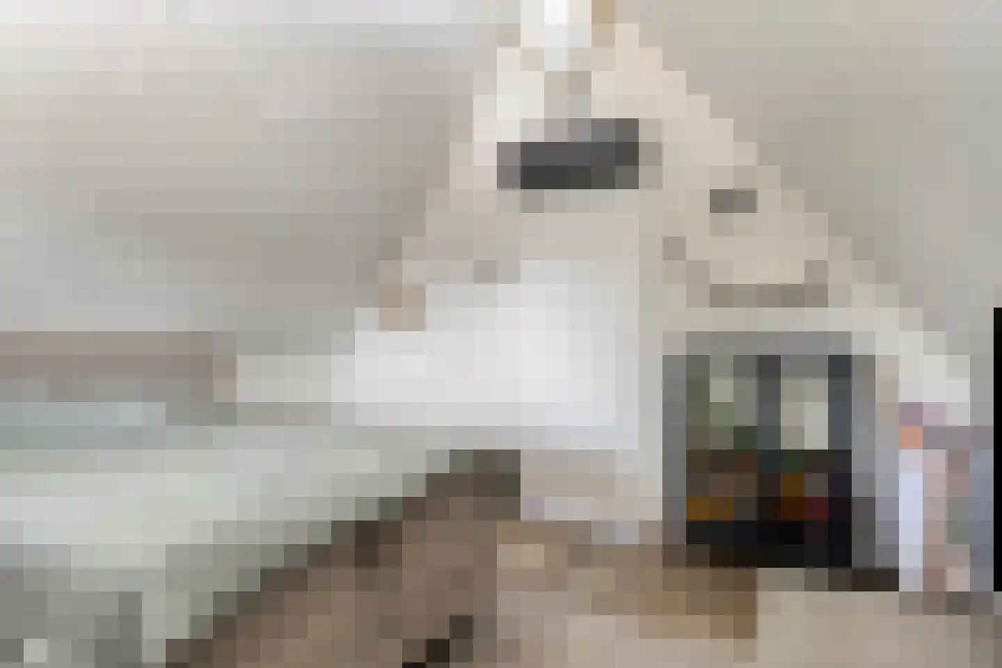 Strausslaan 2 Goes thumbnail 40