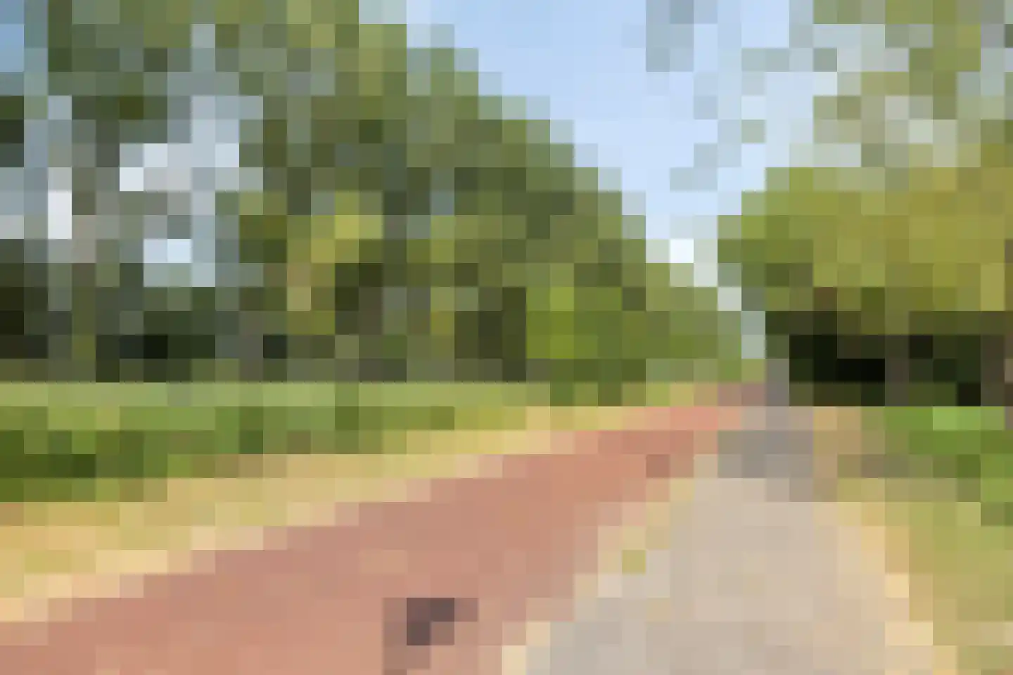 Strausslaan 2 Goes thumbnail 47