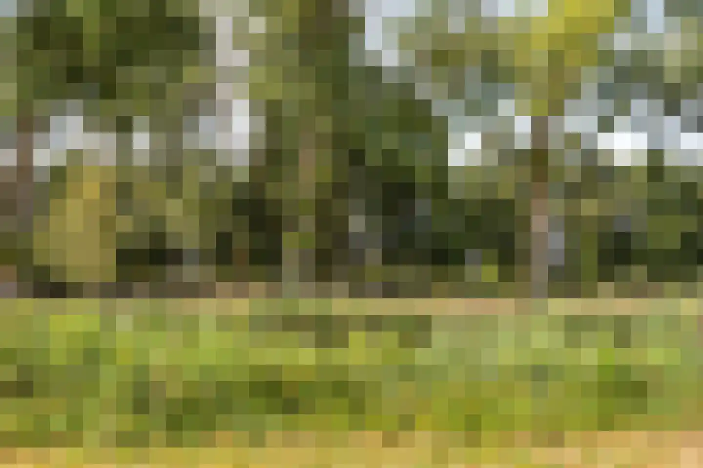 Strausslaan 2 Goes thumbnail 48