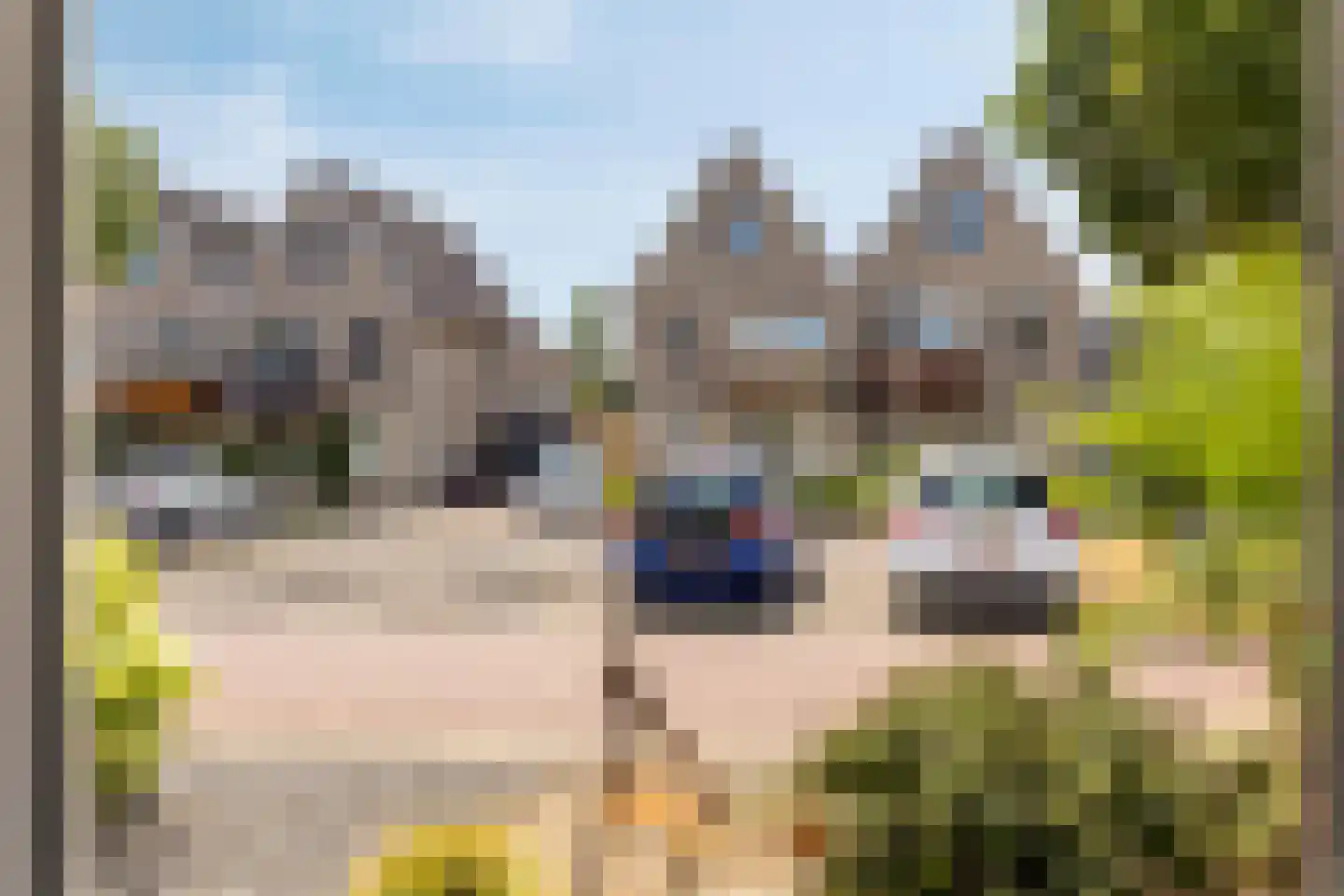 Strausslaan 2 Goes thumbnail 7