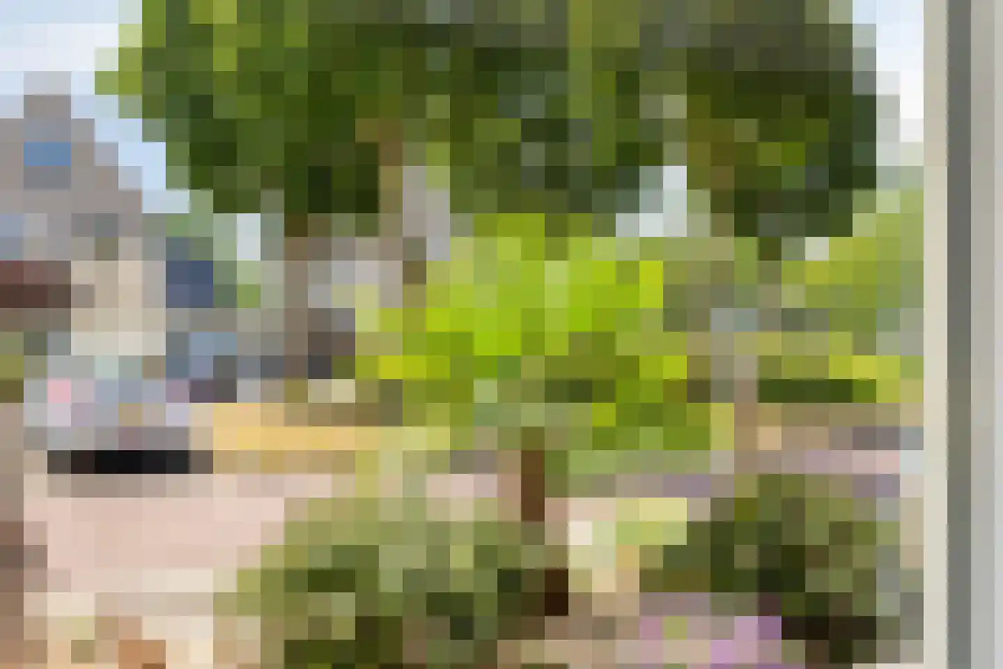 Strausslaan 2 Goes thumbnail 8