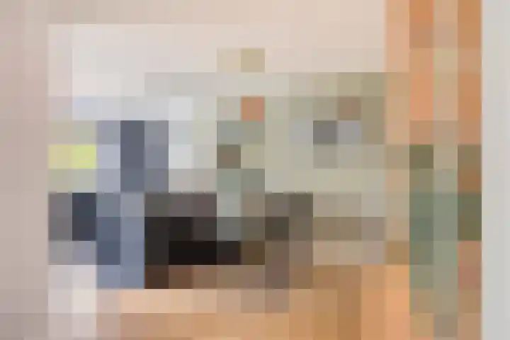 Strausslaan 21 Heesch thumbnail 15