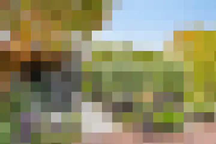 Strausslaan 21 Heesch thumbnail 23