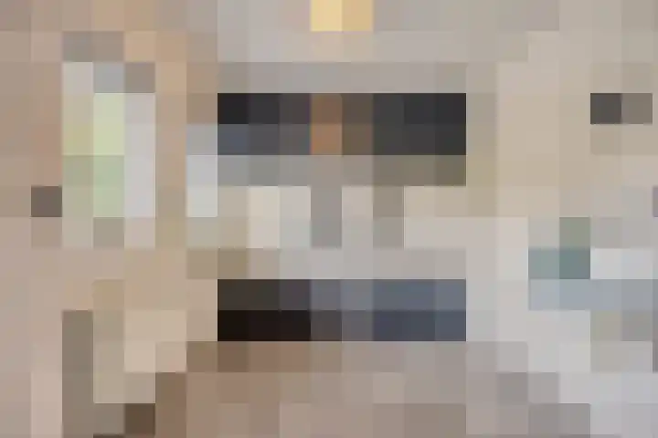 Strausslaan 21 Heesch thumbnail 31