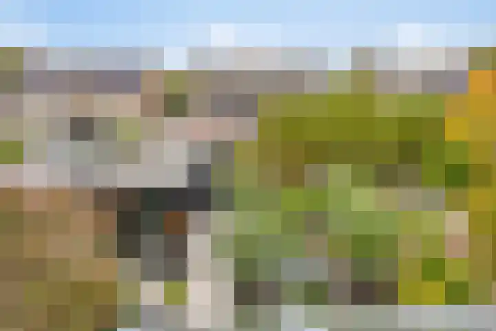Strausslaan 21 Heesch thumbnail 37