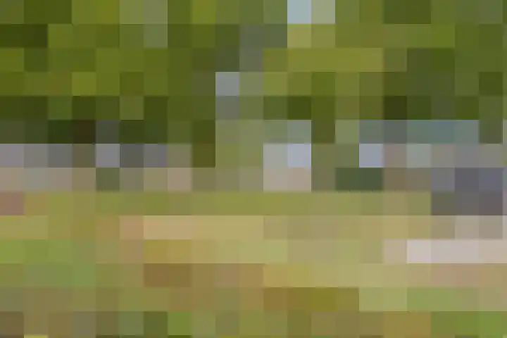 Strausslaan 21 Heesch thumbnail 55