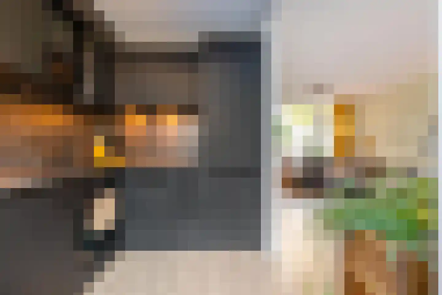 Strausslaan 25 Groningen thumbnail 20