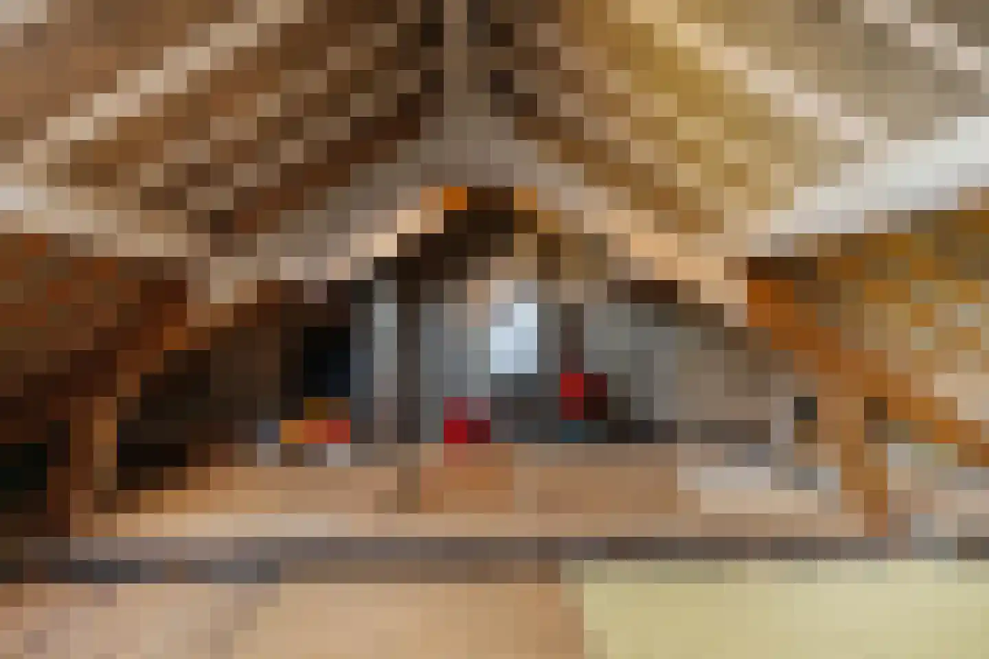 Strausslaan 25 Groningen thumbnail 44