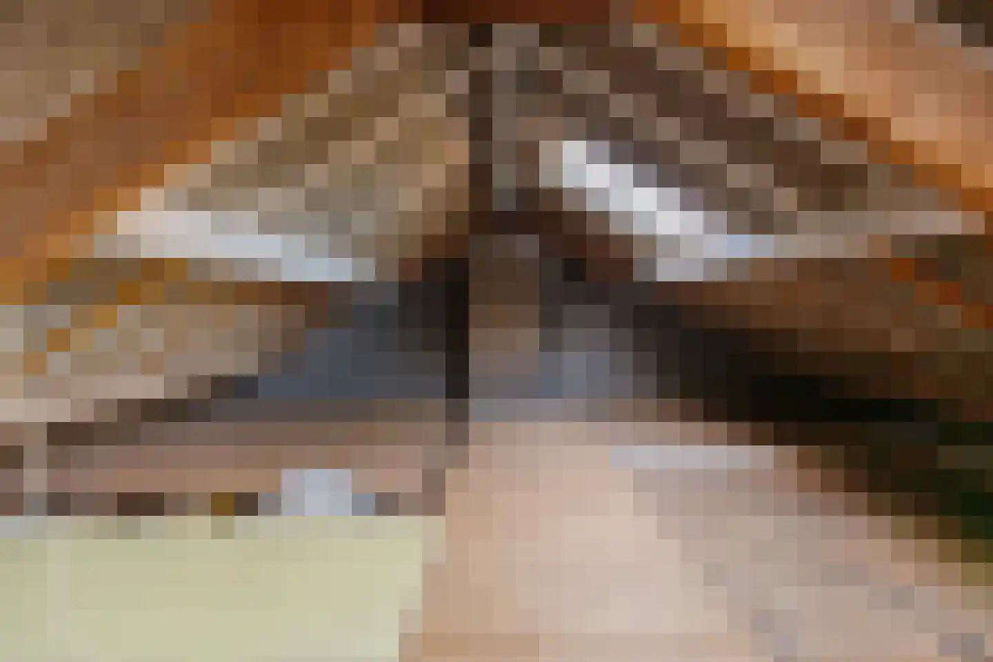 Strausslaan 25 Groningen thumbnail 45