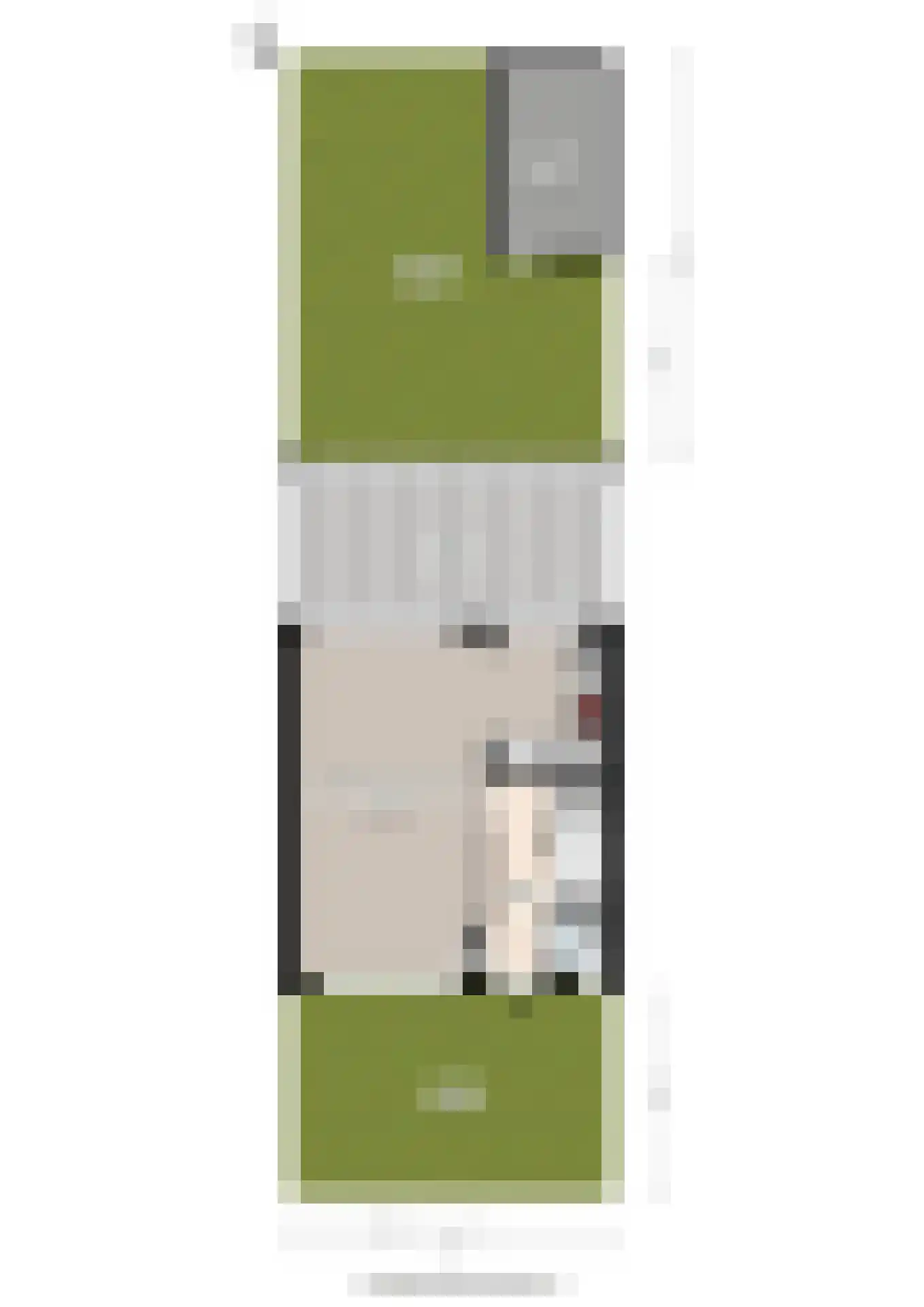 Strausslaan 25 Groningen thumbnail 53