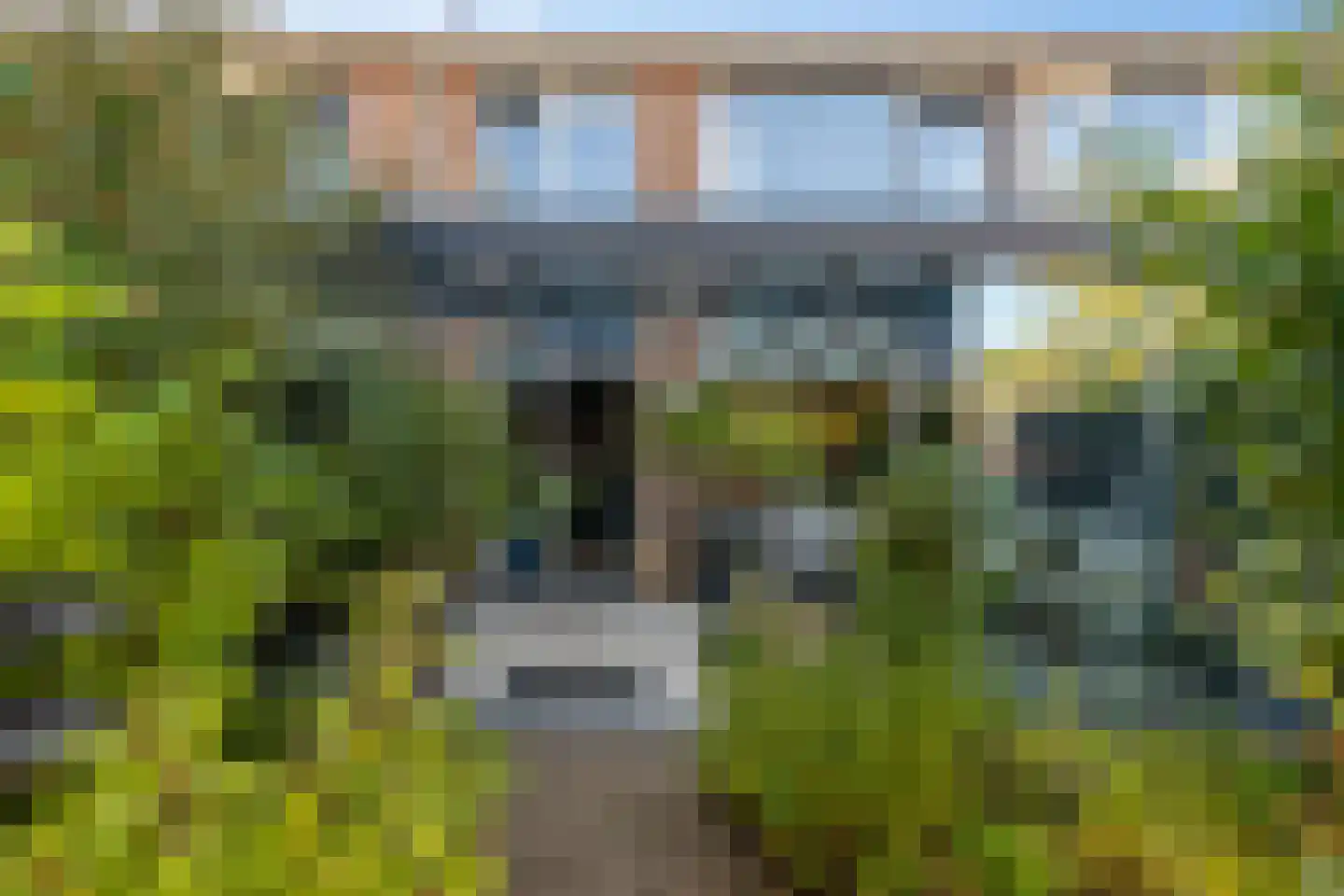 Strausslaan 25 Groningen thumbnail 6
