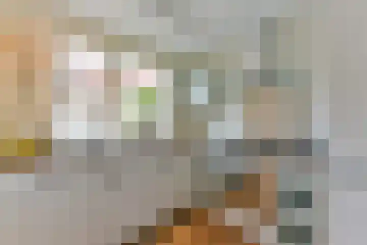 Strausslaan 25 Zeist thumbnail 17