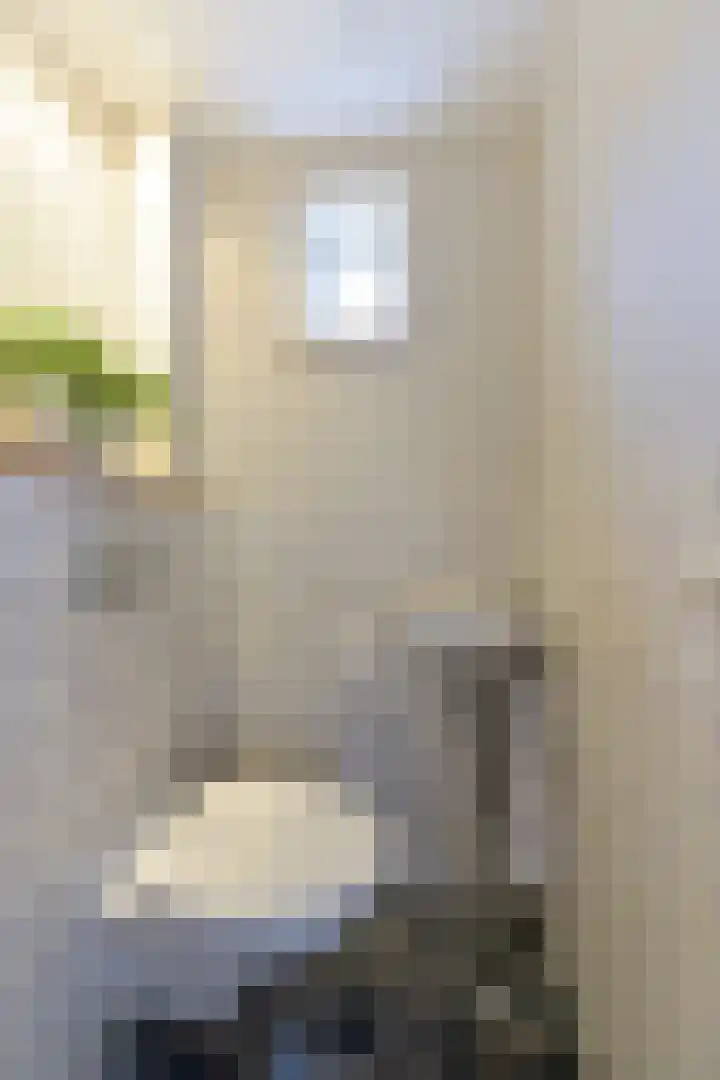 Strausslaan 25 Zeist thumbnail 18