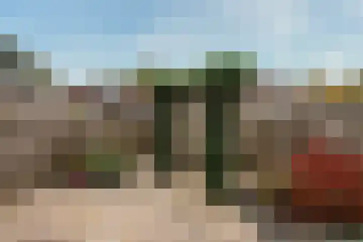 Strausslaan 25 Zeist thumbnail 20