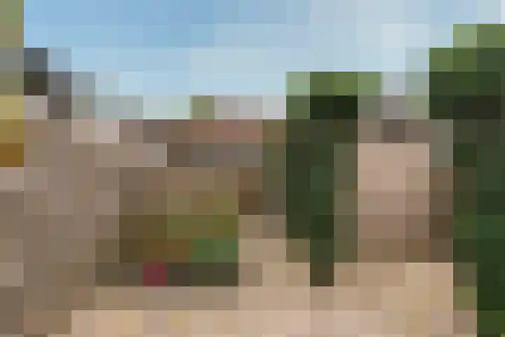 Strausslaan 25 Zeist thumbnail 21