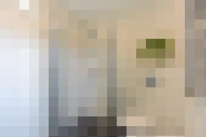 Strausslaan 25 Zeist thumbnail 36