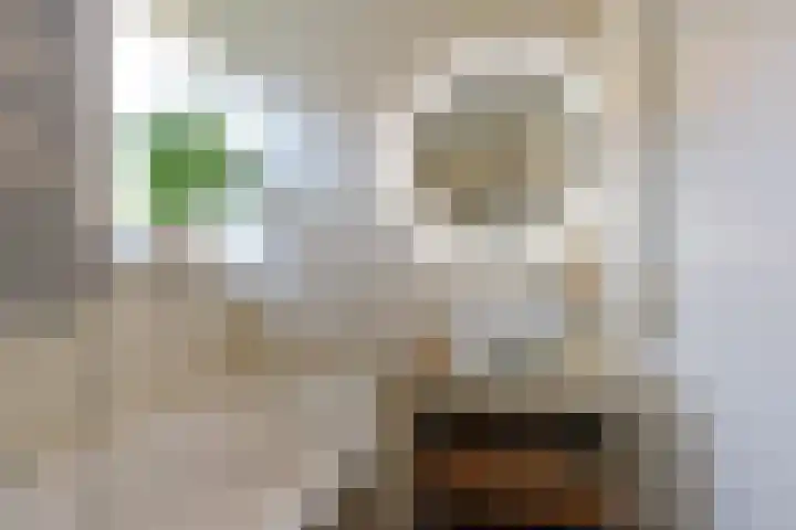 Strausslaan 25 Zeist thumbnail 37