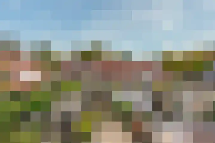 Strausslaan 25 Zeist thumbnail 43