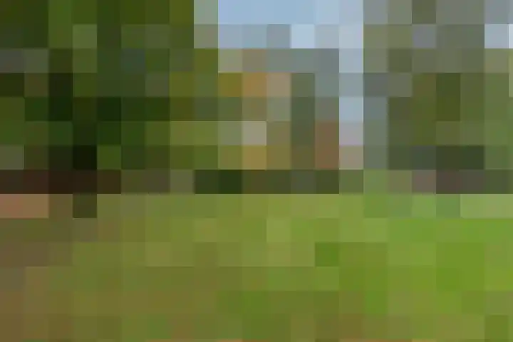 Strausslaan 25 Zeist thumbnail 44